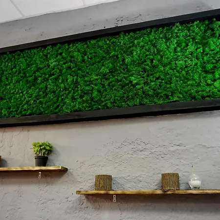 Hostel Black Wood Kijów